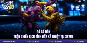Đá Gà Đòn